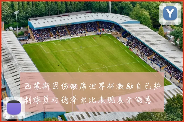 西蒙斯因伤缺席世界杯激励自己热刺球员对德泽尔比表现表示满意