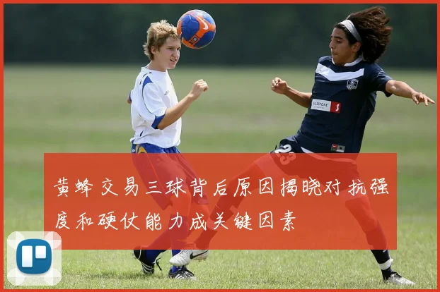 黄蜂交易三球背后原因揭晓对抗强度和硬仗能力成关键因素